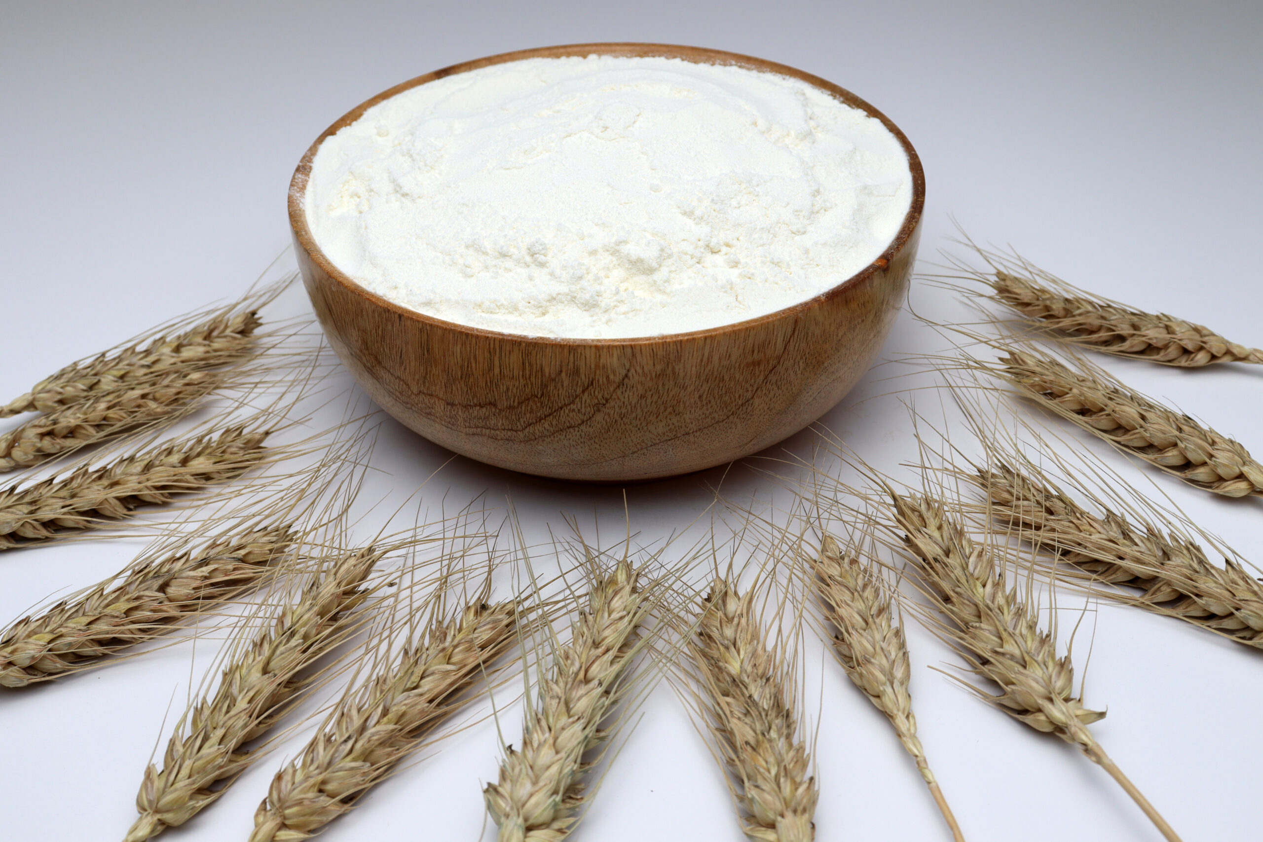 A closeup of a bowl full of atta flour surrounded by ripe wheat